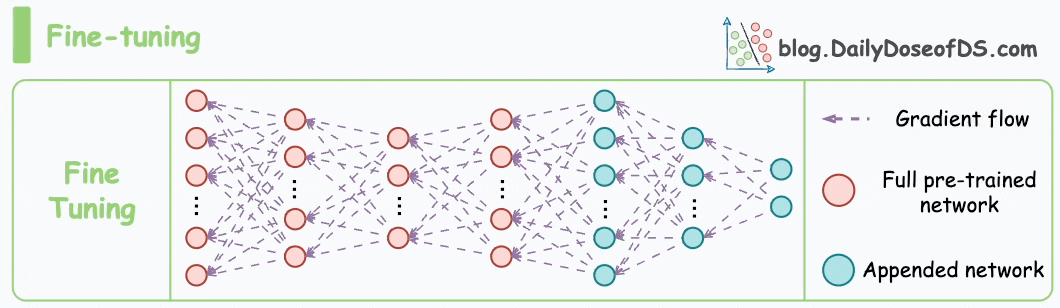 Fine-tuning process